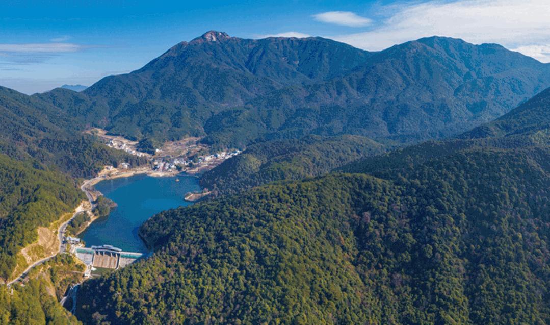 武平最新新闻报道