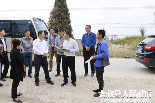 太和王玉峰最新动态，科技巨作引领未来生活