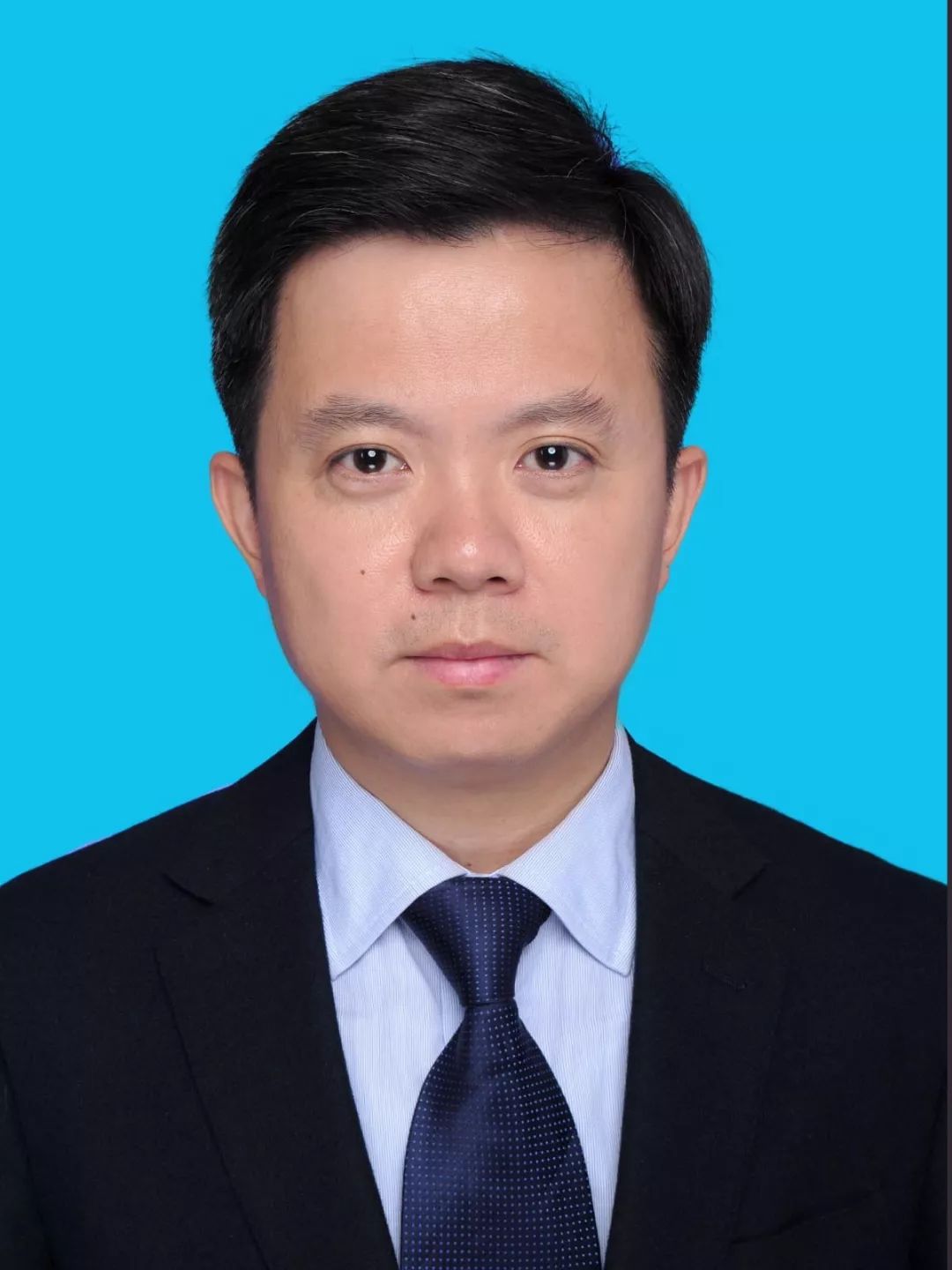 永嘉金丐旦最新任职揭秘，小巷美食瑰宝背后的故事