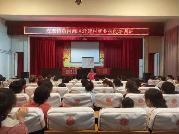 平阴最新招，深度观点阐述与解析