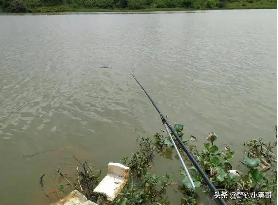 巷弄深处的隐秘美味，最新钓定体验